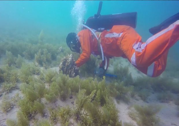 尊龙凯时【首页官网】人生就是博!