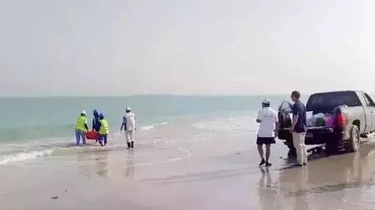 尊龙凯时【首页官网】人生就是博!