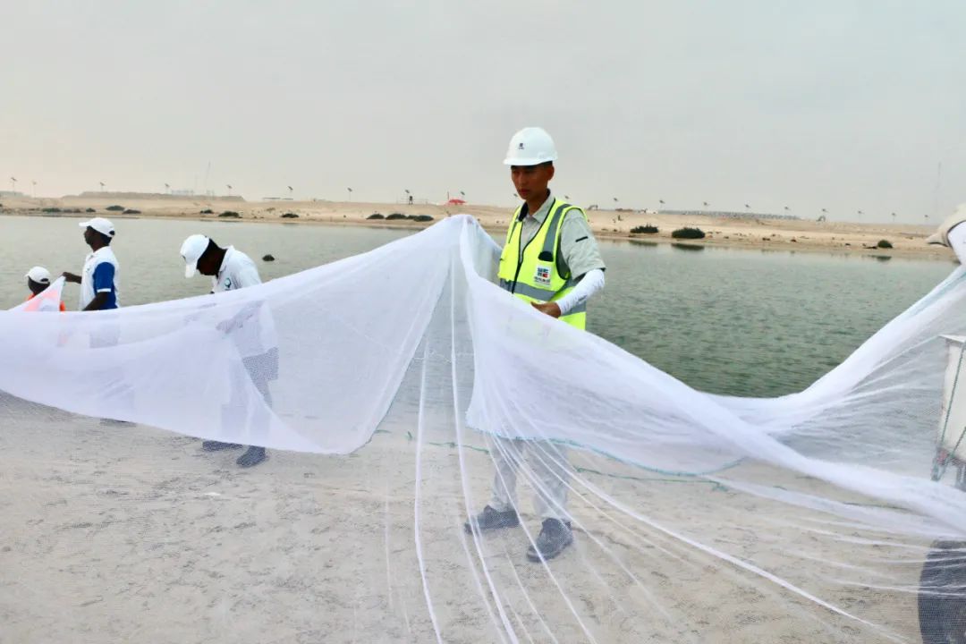 尊龙凯时【首页官网】人生就是博!
