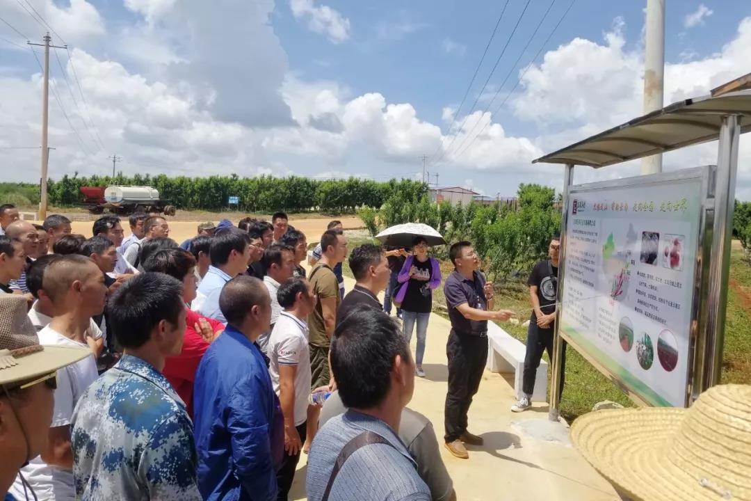 尊龙凯时【首页官网】人生就是博!