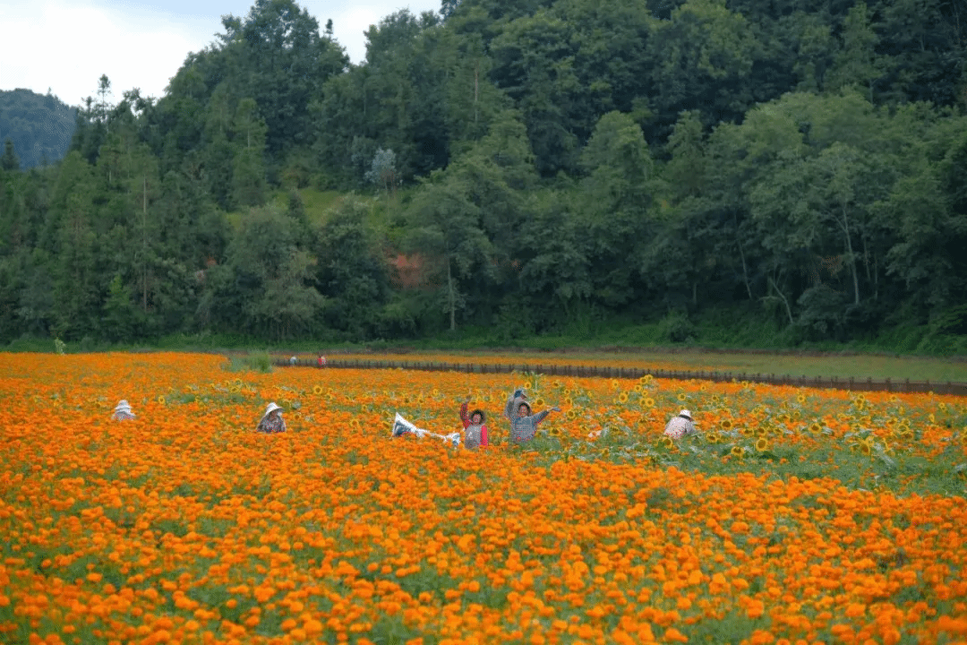 尊龙凯时【首页官网】人生就是博!